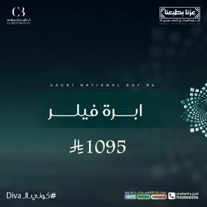 ابرة فيلر