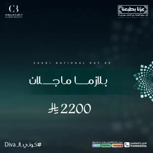 بلازما ماجلان